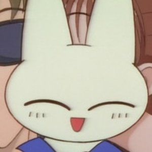 Meet your Posher, Sushi